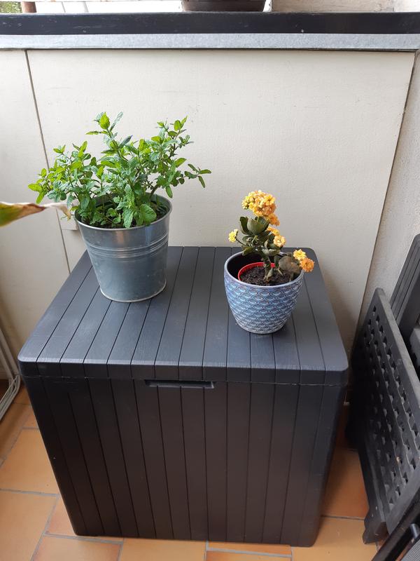 Ouvrir la fenêtre modale de l'avis 1 sur 1