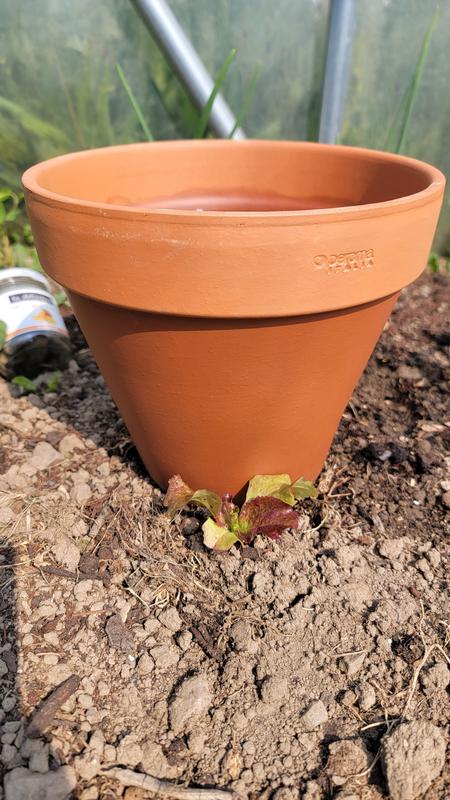 Ouvrir la fenêtre modale de l'avis 2 sur 2