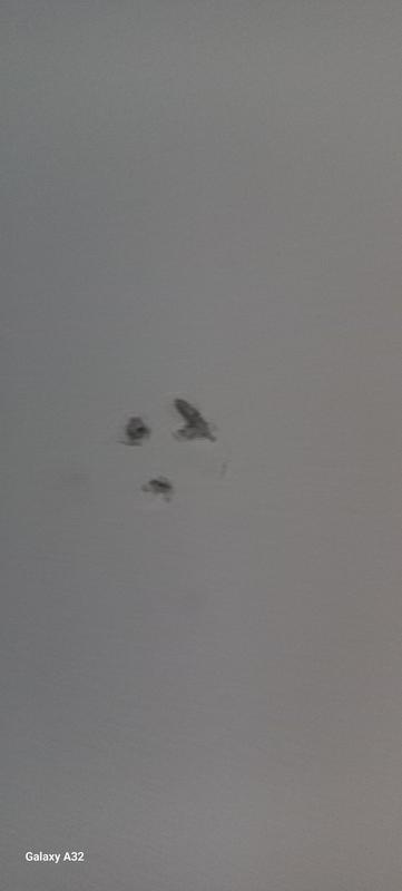 Ouvrir la fenêtre modale de l'avis 1 sur 1