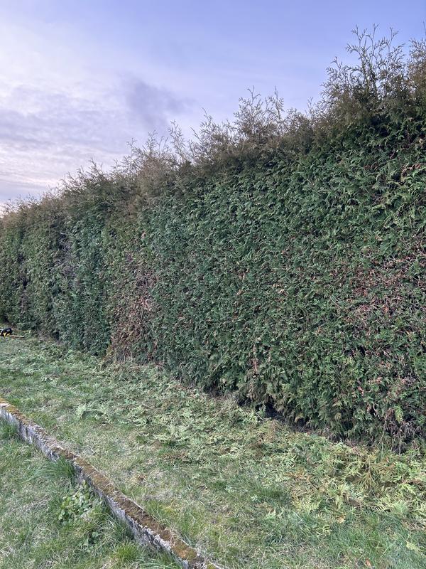 Ouvrir la fenêtre modale de l'avis 2 sur 3