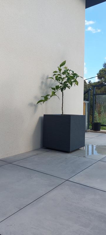 Ouvrir la fenêtre modale de l'avis 1 sur 1