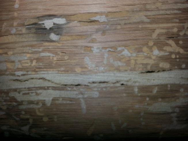 Ouvrir la fenêtre modale de l'avis 2 sur 3