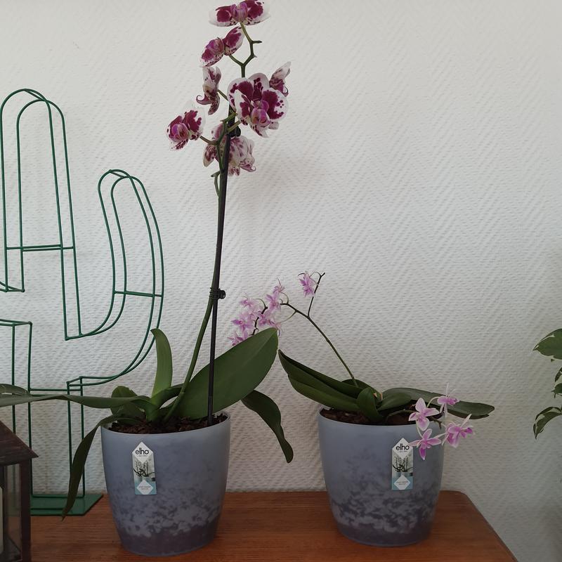 Ouvrir la fenêtre modale de l'avis 2 sur 2