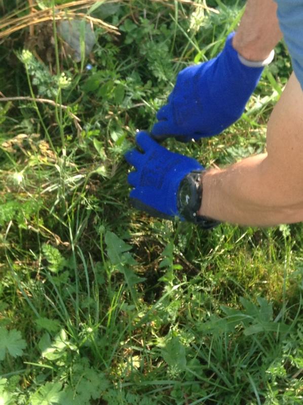 Ouvrir la fenêtre modale de l'avis 1 sur 1