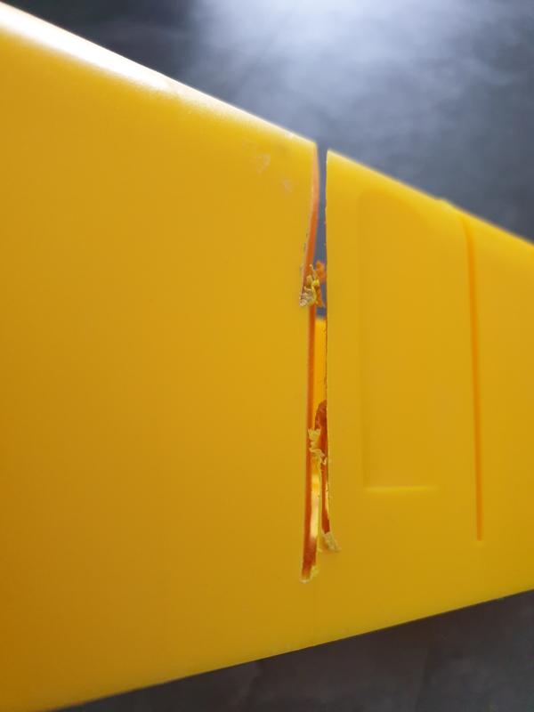 Revisione aperta modale 1 su 2