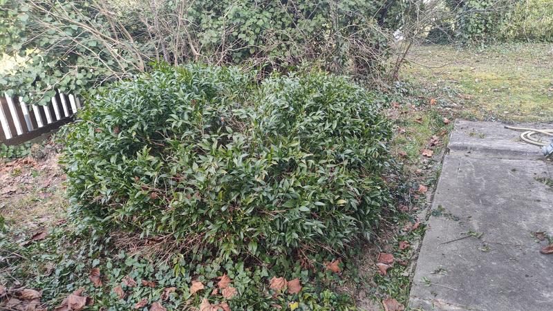 Ouvrir la fenêtre modale de l'avis 2 sur 2