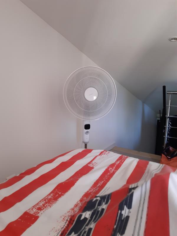 Ouvrir la fenêtre modale de l'avis 1 sur 1