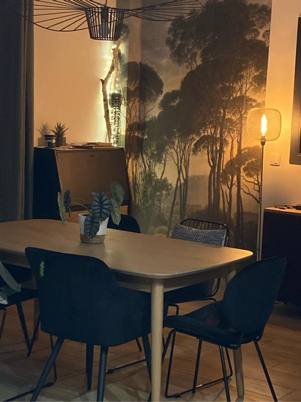 Ouvrir la fenêtre modale de l'avis 1 sur 2