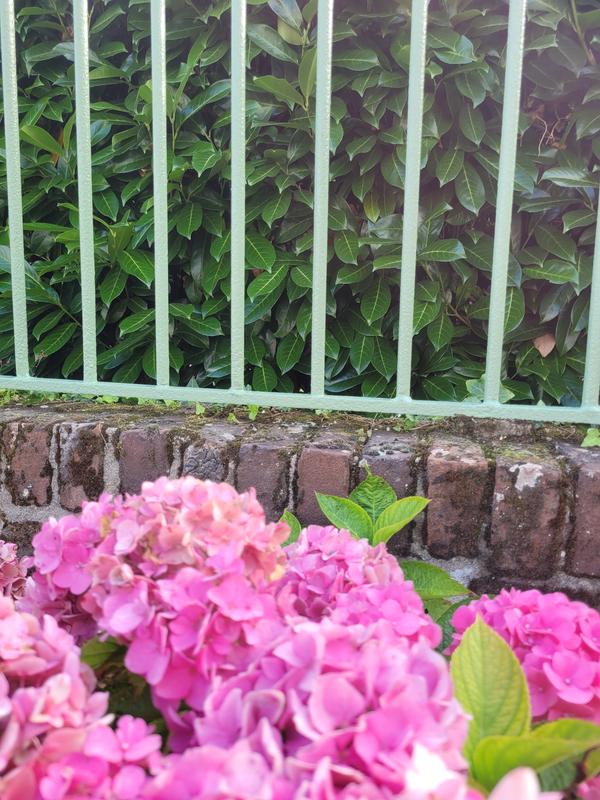 Ouvrir la fenêtre modale de l'avis 2 sur 3