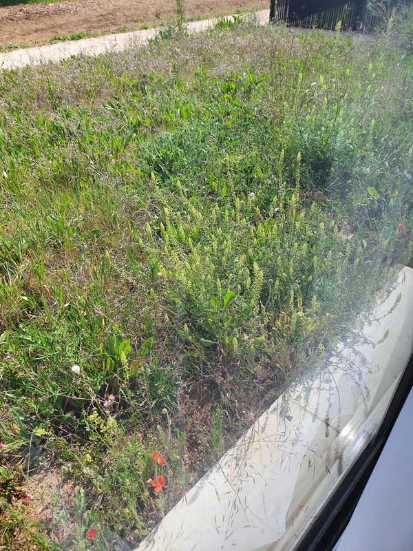 Ouvrir la fenêtre modale de l'avis 1 sur 2