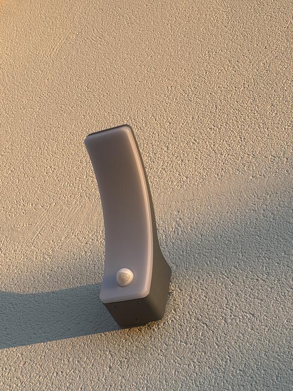 Revisione aperta modale 1 su 1