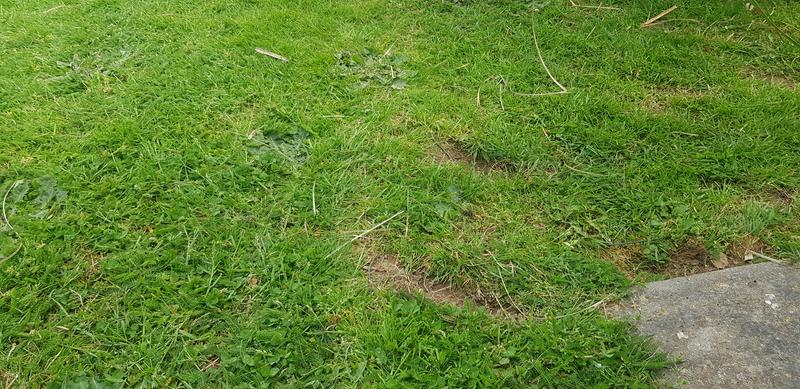 Ouvrir la fenêtre modale de l'avis 5 sur 6