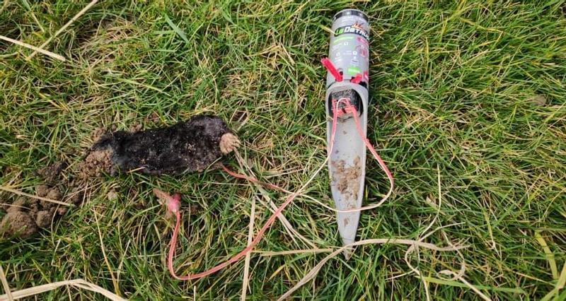 Ouvrir la fenêtre modale de l'avis 1 sur 1