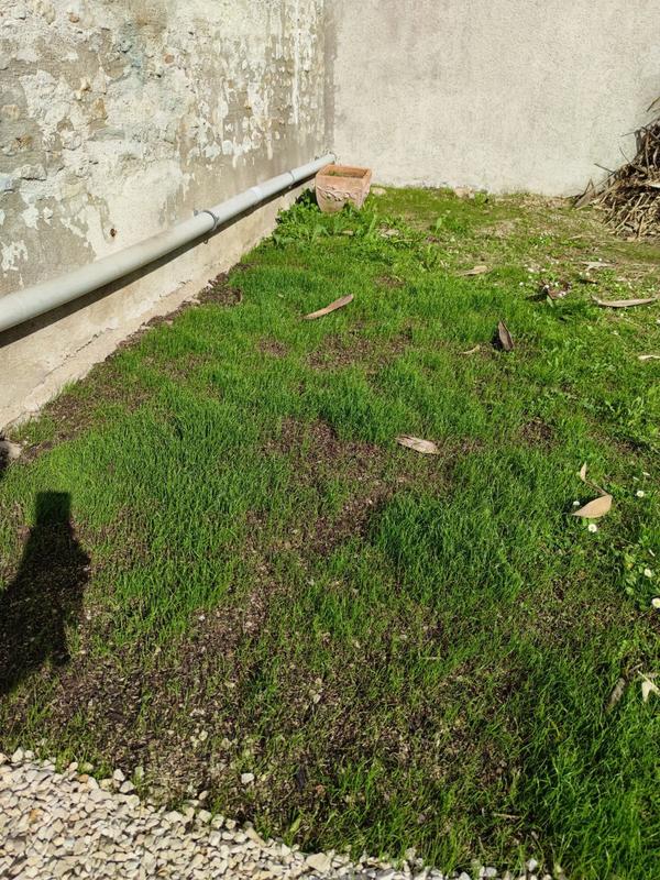 Ouvrir la fenêtre modale de l'avis 1 sur 1