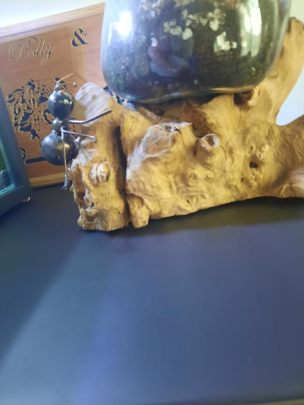 Otwórz okno opinii 4 na stronie 4