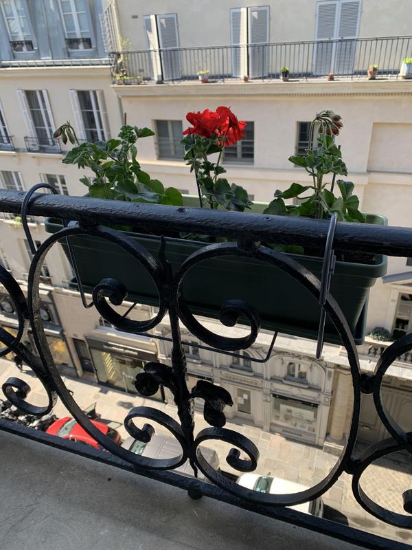 Ouvrir la fenêtre modale de l'avis 1 sur 1