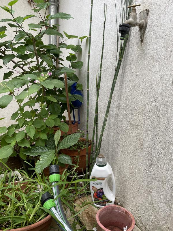 Abra o modal de avaliação 2 de 2