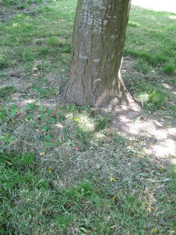 Ouvrir la fenêtre modale de l'avis 3 sur 5