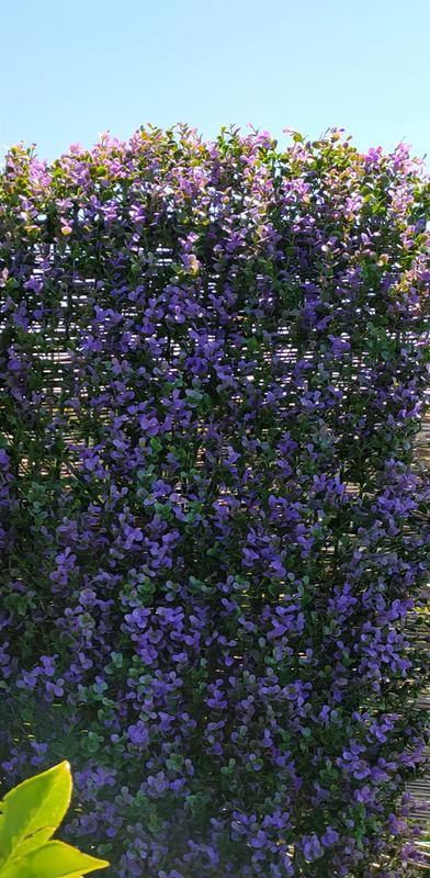 Revisione aperta modale 1 su 2