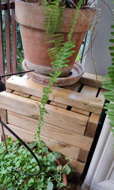 Revisione aperta modale 1 su 2