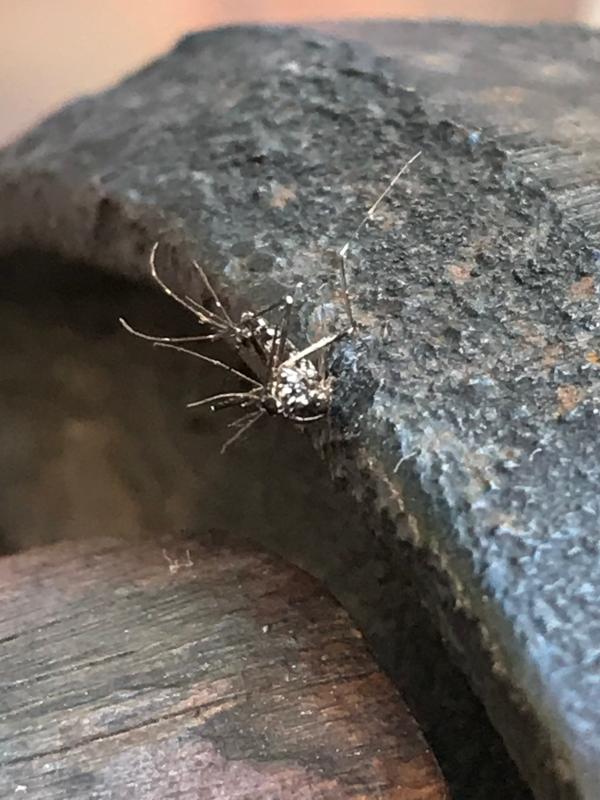 Revisione aperta modale 1 su 1