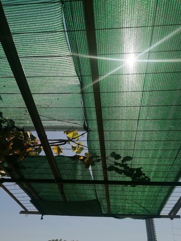 Revisione aperta modale 1 su 1