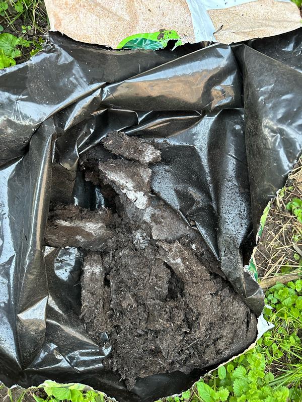 Revisione aperta modale 1 su 1