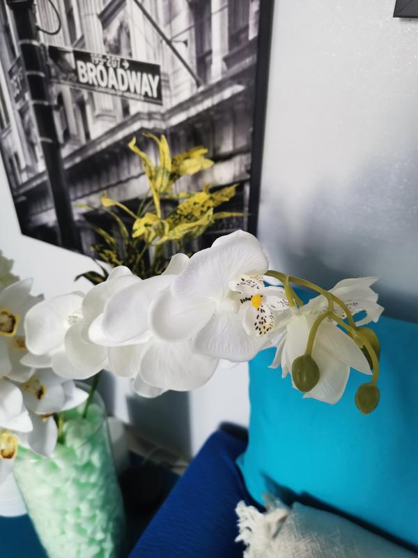 Revisione aperta modale 2 su 2