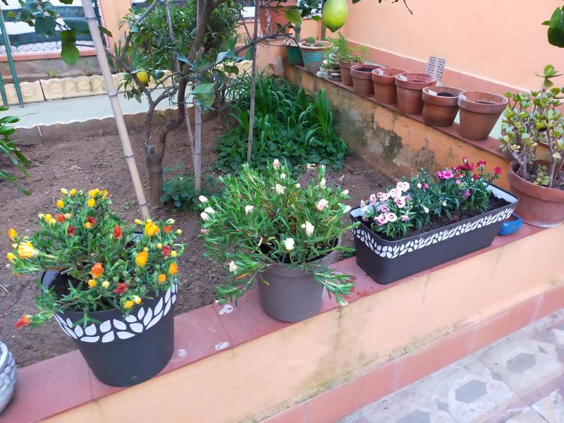 Revisione aperta modale 2 su 2