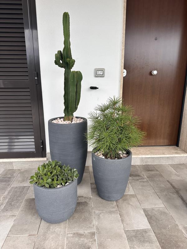 Revisione aperta modale 1 su 1