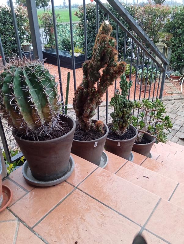 Revisione aperta modale 1 su 1