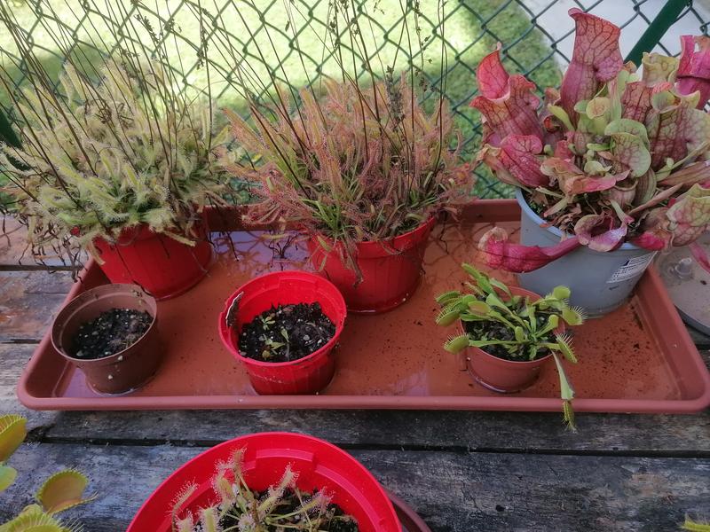 Revisione aperta modale 1 su 1