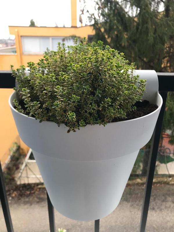 Revisione aperta modale 1 su 3