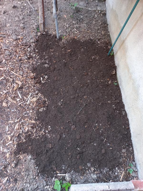 Revisione aperta modale 4 su 4