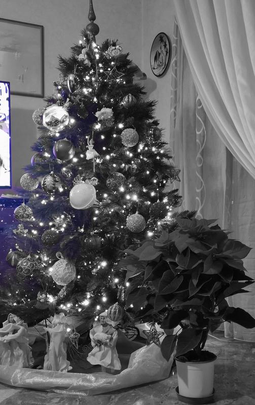 Revisione aperta modale 1 su 1