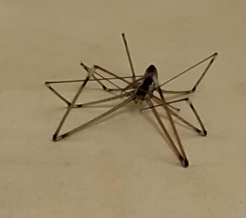 Revisione aperta modale 1 su 4