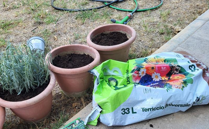 Revisione aperta modale 1 su 1