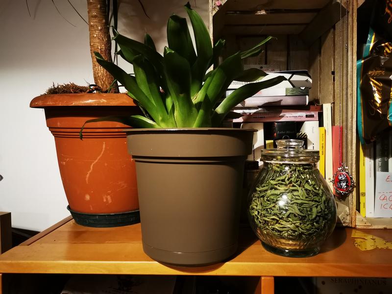 Revisione aperta modale 1 su 1