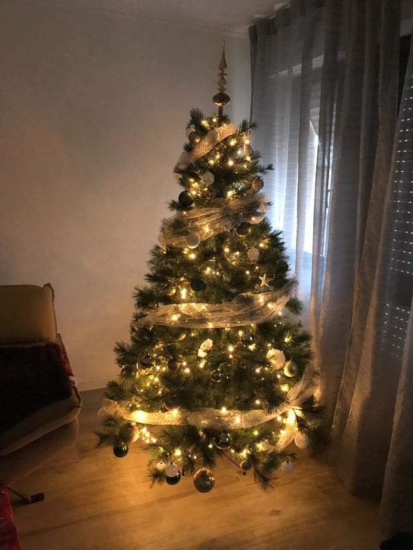 Revisione aperta modale 2 su 2