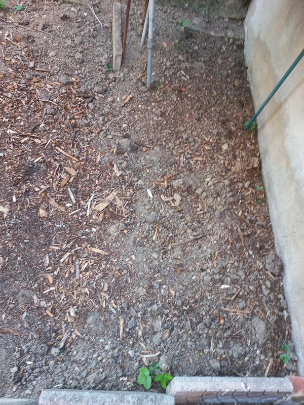 Revisione aperta modale 2 su 4