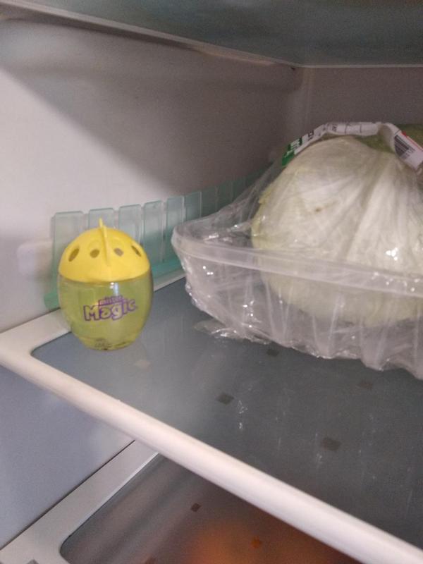 Revisione aperta modale 1 su 1