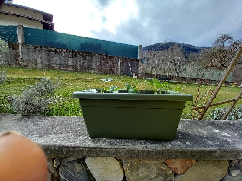 Revisione aperta modale 1 su 1