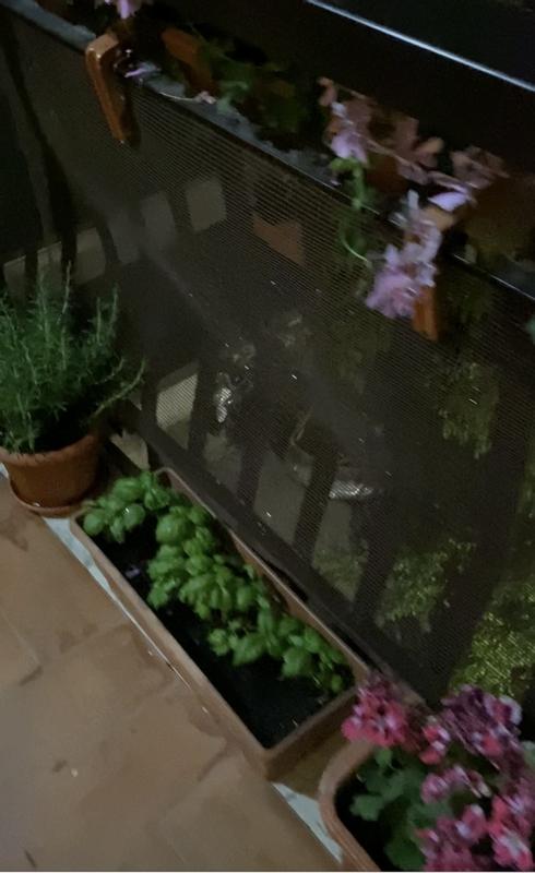 Revisione aperta modale 2 su 2