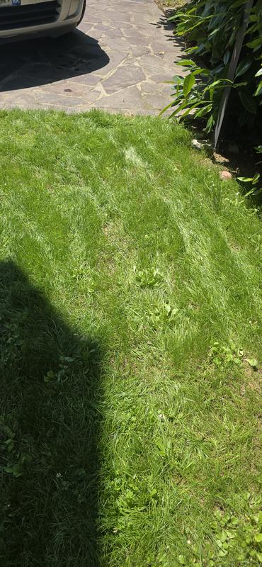 Revisione aperta modale 1 su 1