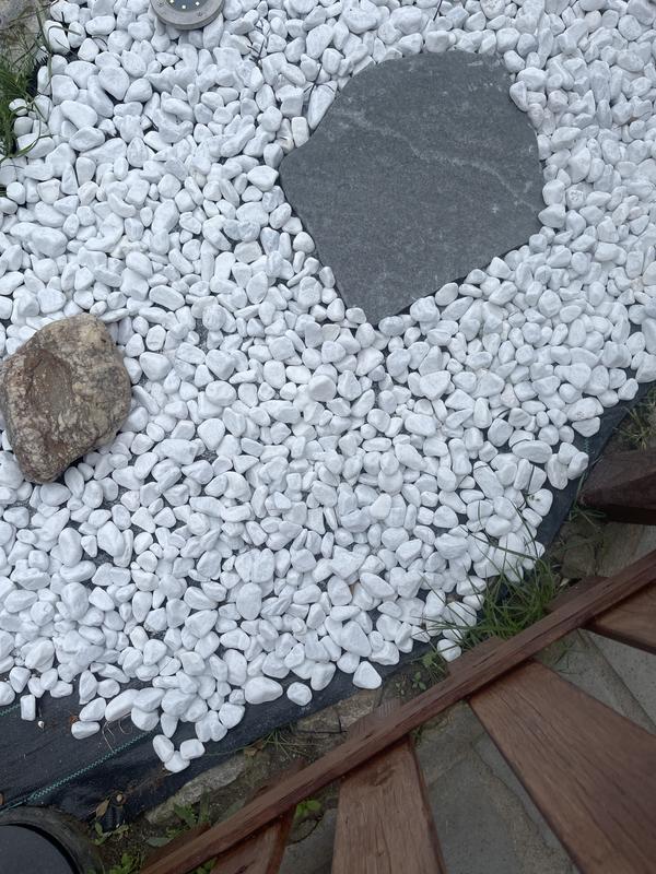 Revisione aperta modale 1 su 1