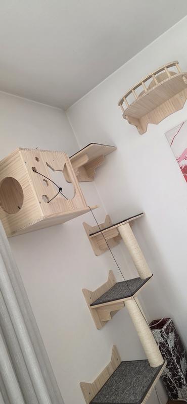 Ouvrir la fenêtre modale de l'avis 1 sur 1