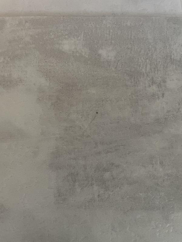 Revisione aperta modale 2 su 5