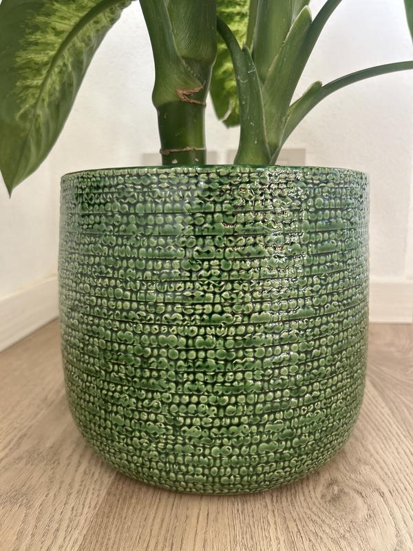 Revisione aperta modale 1 su 2