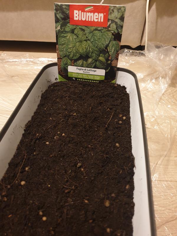 Revisione aperta modale 1 su 2