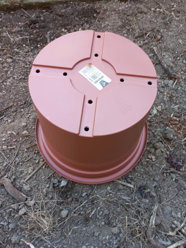 Revisione aperta modale 2 su 3